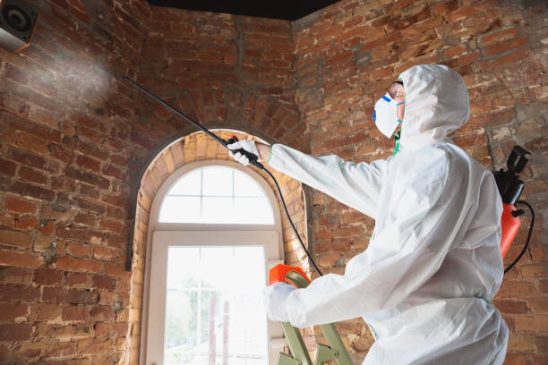 Why You Should Choose Our Mold Remediation Services in Hamlet, IN